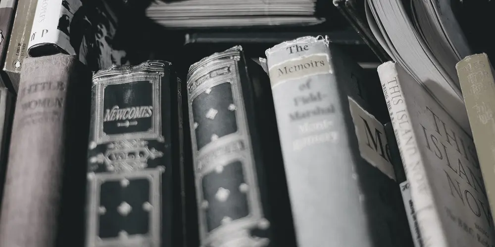 Keeping an AI Bubble from Hurting You – November 14, 2025