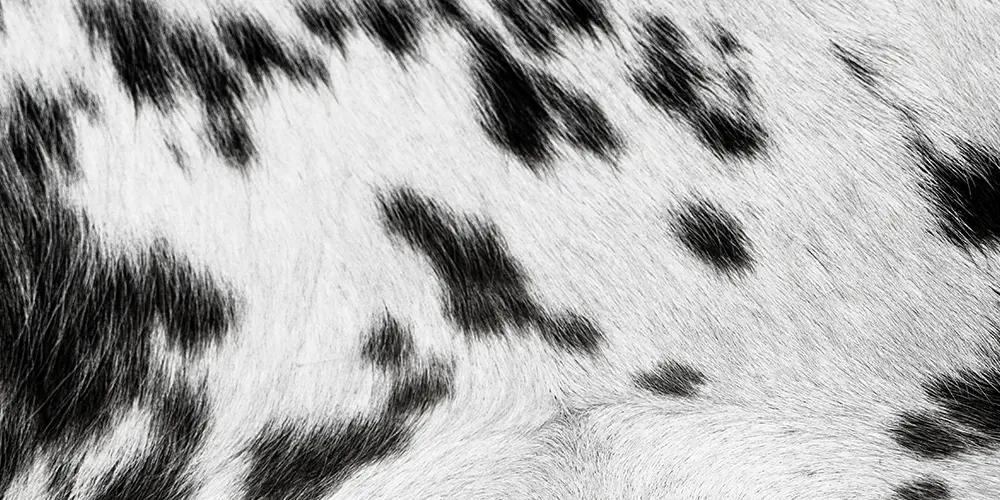 A Check-In on the Economy – November 21, 2025