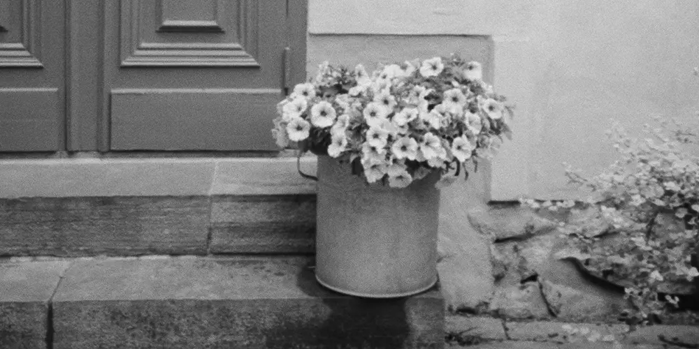 Private Credit Contagion Risk and All the Lies – March 20, 2026