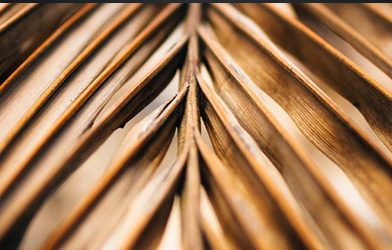 DC Post Image 20220708