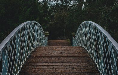 DC_Blog Post 11 DC_Blog Post 11