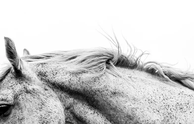 DIVCAFE22_Post_Tempa