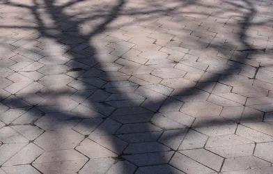 DIVCAFE22_Post_Tempo