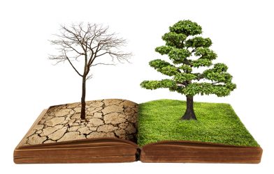 growth story